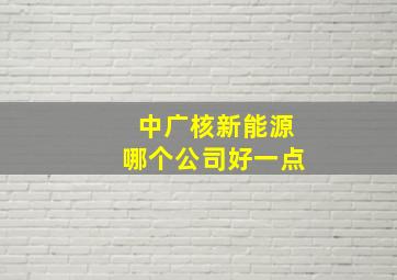 中广核新能源哪个公司好一点