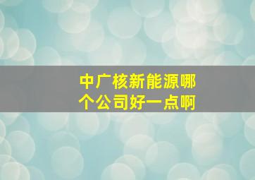 中广核新能源哪个公司好一点啊