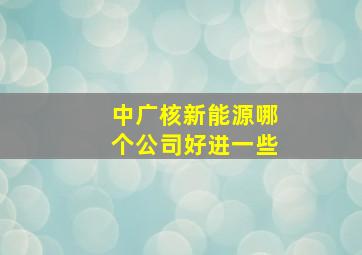 中广核新能源哪个公司好进一些