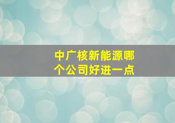 中广核新能源哪个公司好进一点