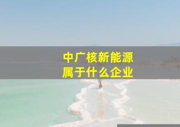 中广核新能源属于什么企业