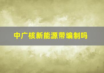 中广核新能源带编制吗