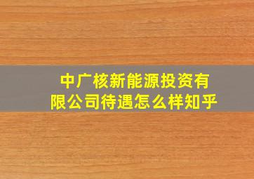 中广核新能源投资有限公司待遇怎么样知乎