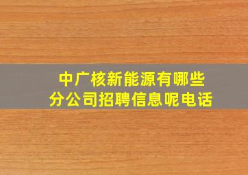 中广核新能源有哪些分公司招聘信息呢电话