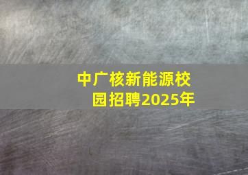 中广核新能源校园招聘2025年