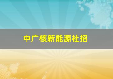 中广核新能源社招