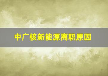 中广核新能源离职原因