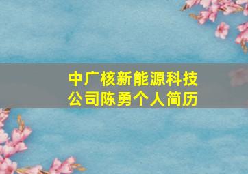 中广核新能源科技公司陈勇个人简历