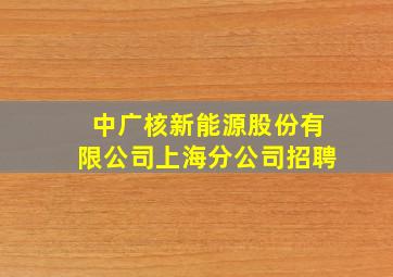 中广核新能源股份有限公司上海分公司招聘