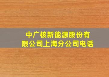 中广核新能源股份有限公司上海分公司电话