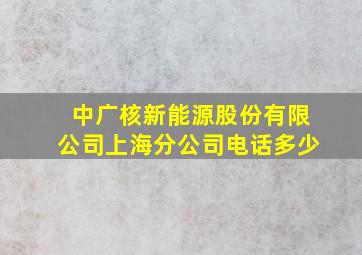 中广核新能源股份有限公司上海分公司电话多少