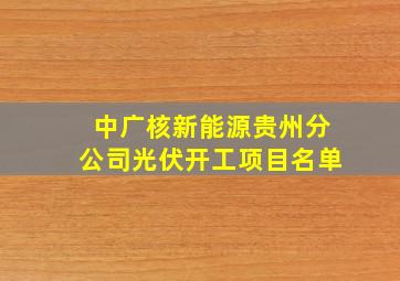 中广核新能源贵州分公司光伏开工项目名单