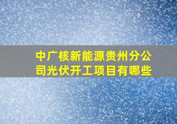 中广核新能源贵州分公司光伏开工项目有哪些