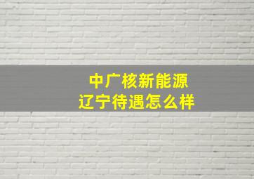 中广核新能源辽宁待遇怎么样