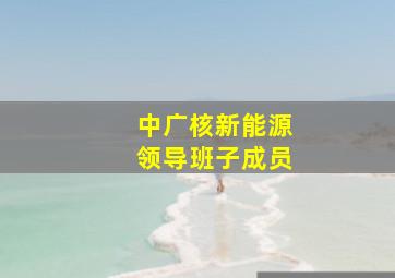 中广核新能源领导班子成员