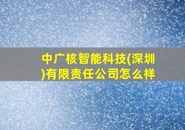 中广核智能科技(深圳)有限责任公司怎么样