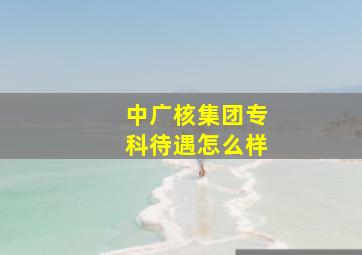 中广核集团专科待遇怎么样