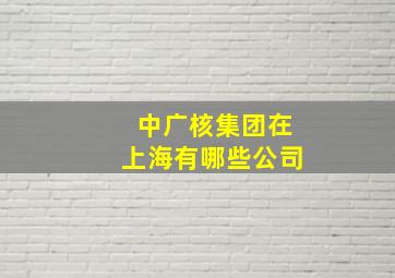 中广核集团在上海有哪些公司