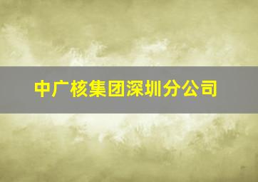 中广核集团深圳分公司