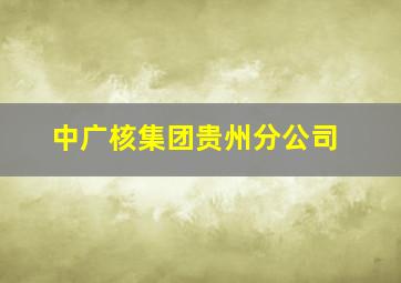 中广核集团贵州分公司