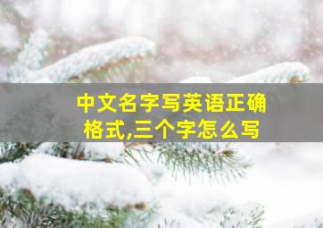 中文名字写英语正确格式,三个字怎么写