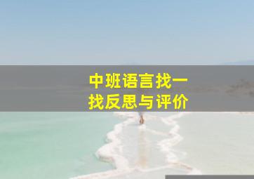 中班语言找一找反思与评价