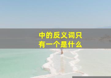 中的反义词只有一个是什么