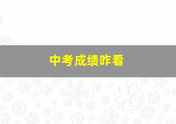 中考成绩咋看