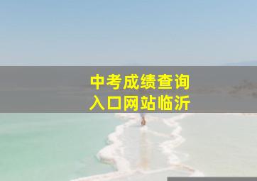 中考成绩查询入口网站临沂