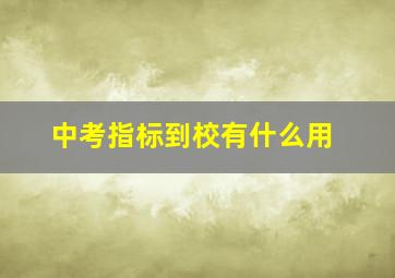 中考指标到校有什么用