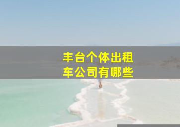 丰台个体出租车公司有哪些