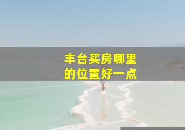 丰台买房哪里的位置好一点