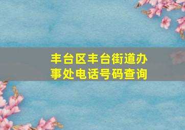 丰台区丰台街道办事处电话号码查询