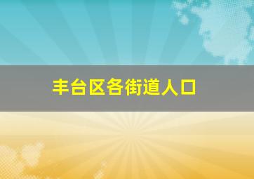 丰台区各街道人口