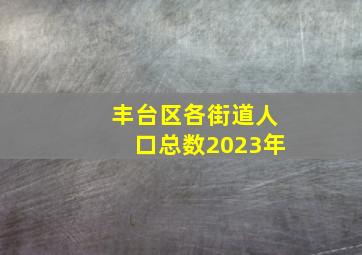 丰台区各街道人口总数2023年