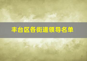 丰台区各街道领导名单