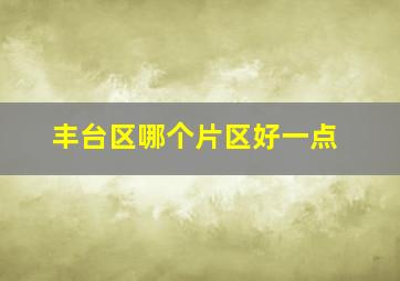 丰台区哪个片区好一点