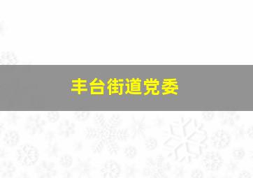 丰台街道党委