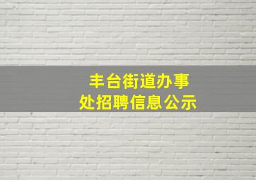 丰台街道办事处招聘信息公示