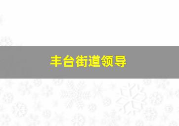 丰台街道领导