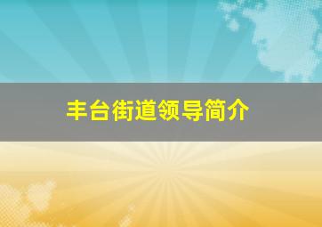 丰台街道领导简介