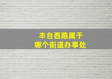 丰台西路属于哪个街道办事处