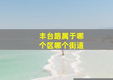 丰台路属于哪个区哪个街道