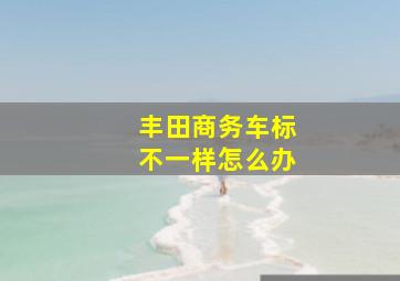 丰田商务车标不一样怎么办