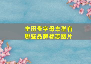 丰田带字母车型有哪些品牌标志图片