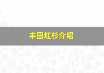 丰田红杉介绍