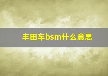 丰田车bsm什么意思