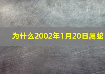 为什么2002年1月20日属蛇