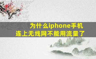 为什么iphone手机连上无线网不能用流量了