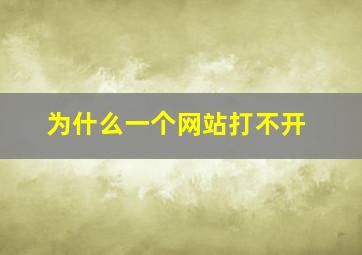 为什么一个网站打不开